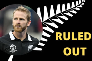 Kane Williamson, New Zealand Cricket,  Mark Chapman, Hamilton