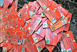 Roadside government insurance cards