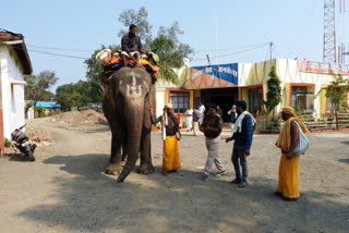 an elephant was kept in the police custody IN narsinghpur's Gotegaon police station for violating law