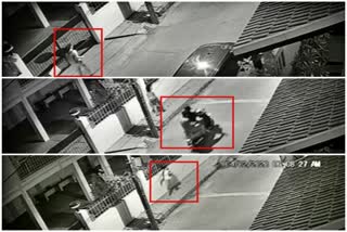 attempt-to-snatch-mobile-from-girl-at-bangalore