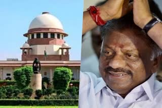 SC order on TN MLA disqualification case