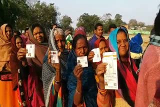 Dhamtari Panchayat elections