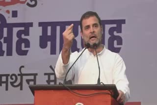 Modi, Kejriwal not interested in jobs for youngsters: Rahul