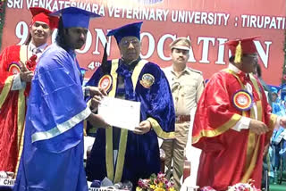 governor attend felicitation function in ventakateswara veterinary university tirupati