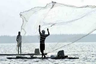 e-tender process, fish sales rates will be uniform