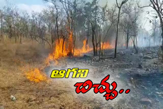 fire accident in nallamala forest