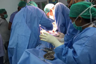 first-ever cadaveric organ transplant