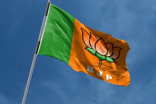 BJP slams AAP over shooting in Shaheen Bagh