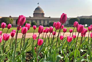 Mughal Gardens at Rashtrapati Bhavan opened for all from 05 Feb to 08 March