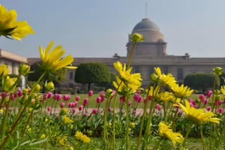 Mughal Garden Delhi