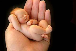 fetus found in rudrapur