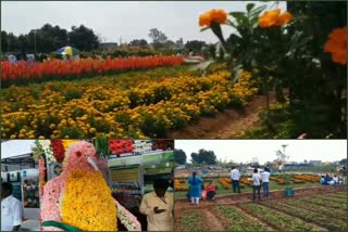 National Horticultural Fair