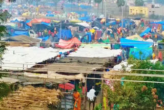 medaram-devotees-taking-rest-in-tents