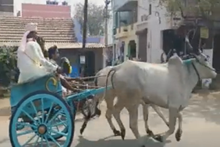 Traditional Tamil Brides  Bullock cart Travelling