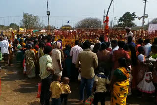 mini-medaram-jatara-in-janagama