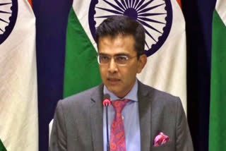 MEA Raveesh Kumar