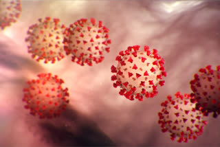 coronavirus