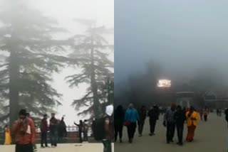 weather forecast in himachal pradesh