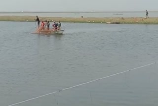 od_khd_illegal fish transfer in chilka lake