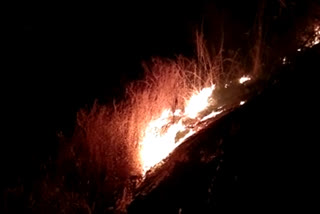 Forest Fire Nadapuram Kozhikode  വിലങ്ങാട് കാട്ടുതീ  കര്‍ഷകരെ പരിഭ്രാന്തിയിലാക്കി കാട്ടുതീ  വിലങ്ങാട് മലയങ്ങാട് കാട്ടുതീ  fire in vilangad