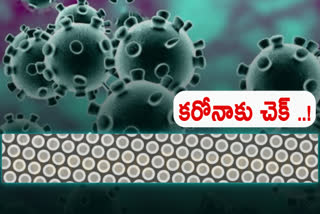 Ayurveda: Coronavirus can be curbed
