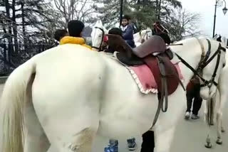 Extra Money Will Paid For Horse Riding In Shimla