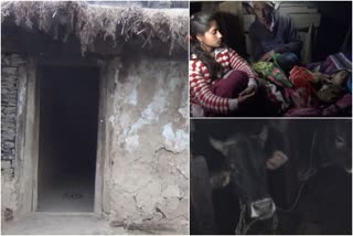 A poor family in Chamba live in a house with animal