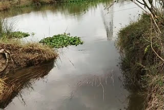 BRAKE THE VAMSHADHARA RIGHT CANAL