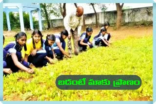 SCHOOL_GREENERY