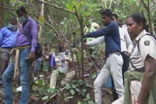 a deadbody found in similipal jungle