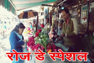 Valentine Week, Rose Day, ajmer news