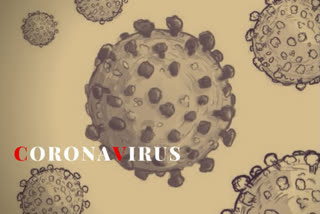 corona virus