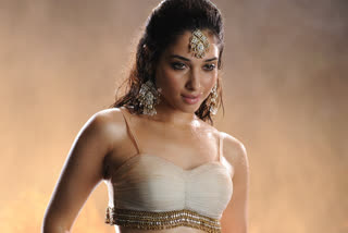 tamanna-as-jwalareddy-in-seetimaar-movie