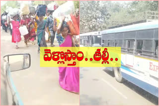 medaram jatara return journey pilgrims at mulugu