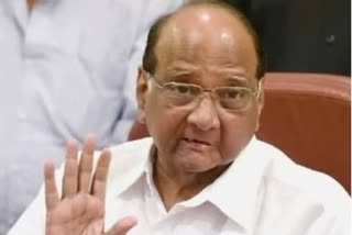 sharad-pawar