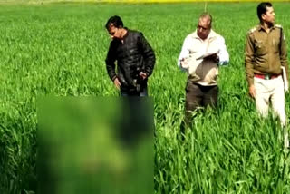 Unclaimed corpse found in wheat field in bhopal