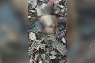 rotten infant found in dhule