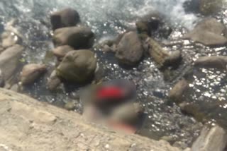 dead body found in Sarvari River in kullu