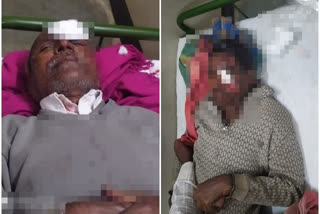 farmers-and-workers-injured-in-wolf-attack-in-jalna