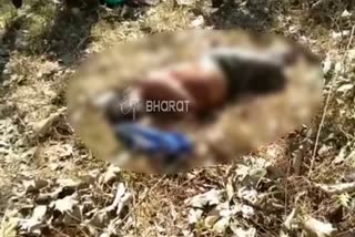 ಕೊಡಗು ಕಾಡಾನೆ ದಾಳಿಗೆ ವ್ಯಕ್ತಿ ಬಲಿ, Man dead by elephant attack in Kodagu