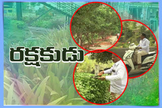 municipal-horticulture-officer-ilaiah-is-a-plant-protector-in-siddipet-district