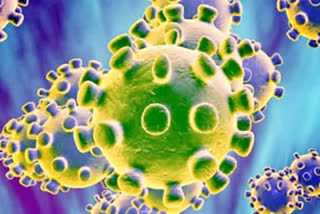 23 deaths in China due to coronavirus