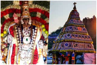 Thaipusam Car Festival