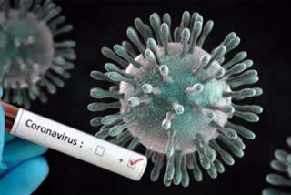 coronavirus