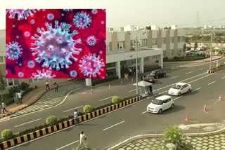 no karona virus symptoms in andhra pradesh