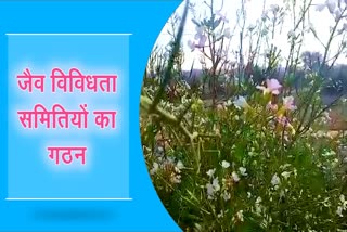 जैव विविधता समितियों का गठन, Biodiversity Committees formed