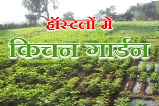 kitchen garden in hostels