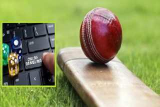 cheating of online cricket betting case one arrested