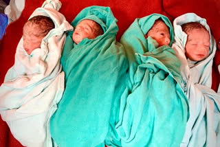 mother gives birth of four children