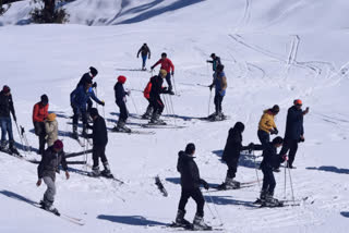 Skiing Training News
